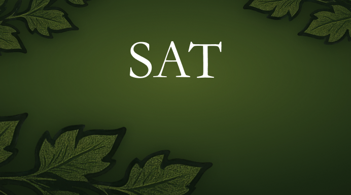 Индивидуальный диагностический SAT